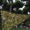 Wholesale hunting blind screen sunshade shelf net green camo net